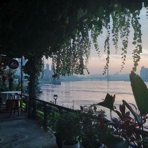 两个肥奶被揉出奶水
